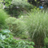 Green garden