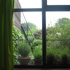 Tuinkamer - Garden view
